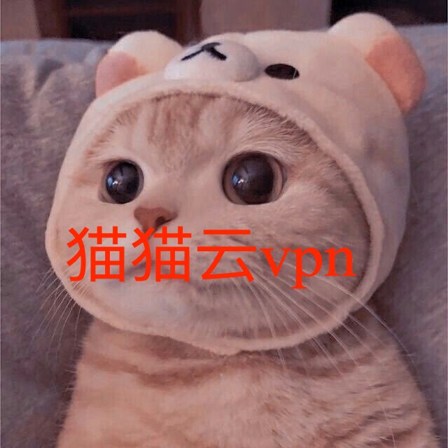 猫猫云VPN